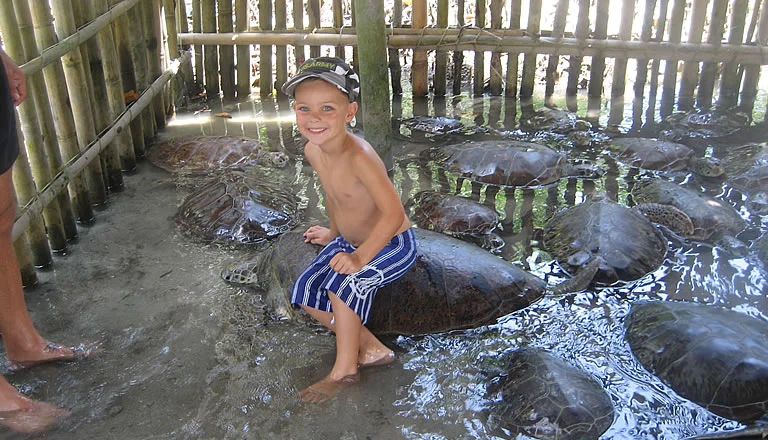 Bali Turtle Farm