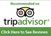 Bali Day Trip Trip Advisor Reviews