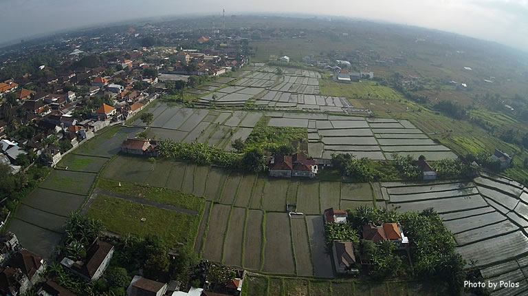 Batubulan Village View by Drone